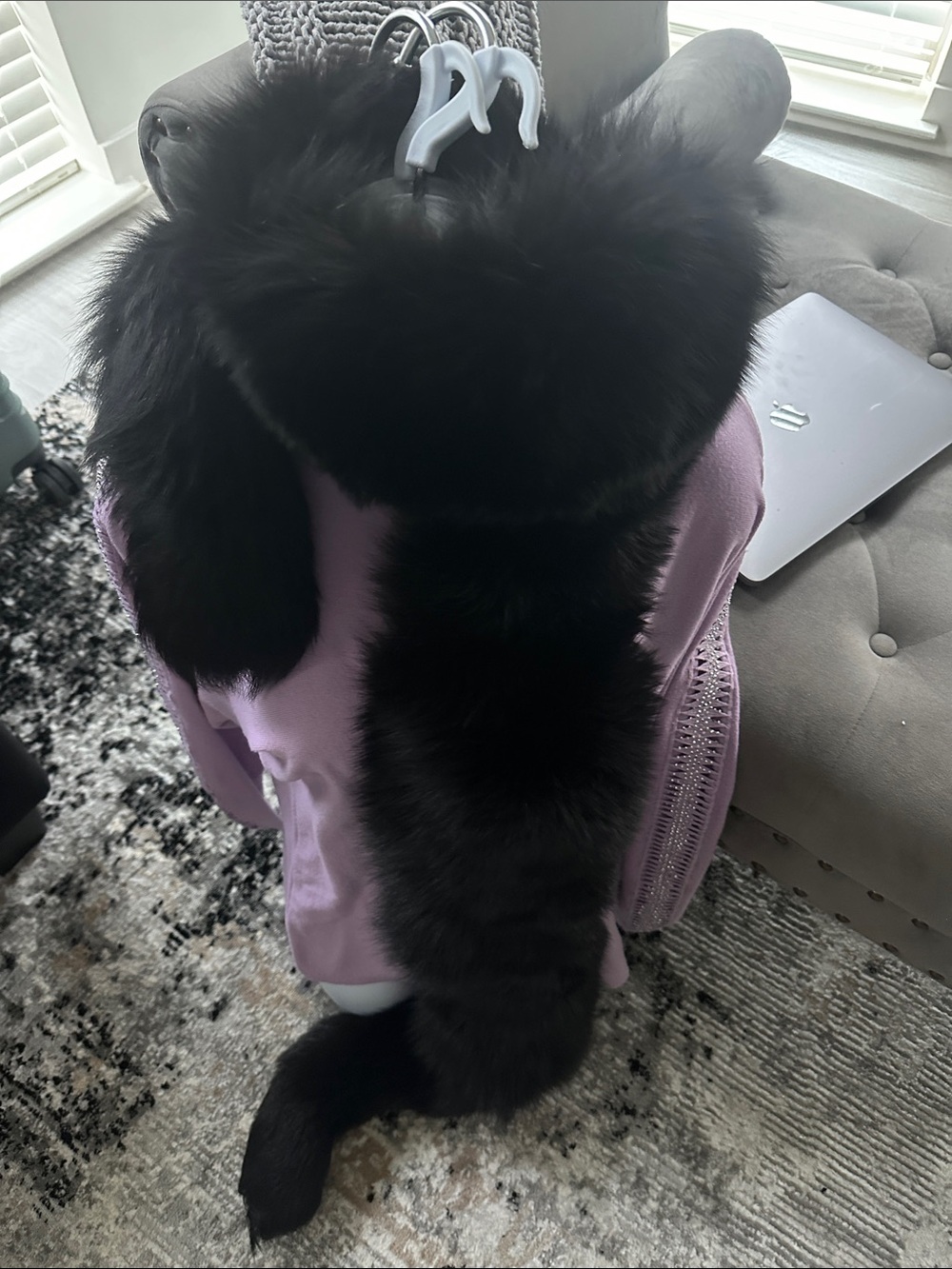 Authentic Cute & Sassy FUR for Neck. Stunning will Add A Statement to any Outfit